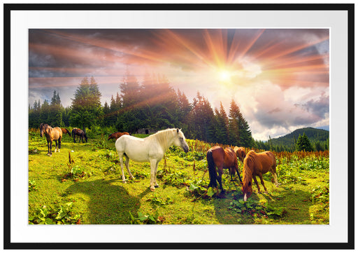 Mustangs Pferde auf den Bergen Passepartout 100x70