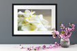 Wunderschöne weiße Calla Lilien Passepartout Wohnzimmer