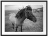 Isländer Pferde in der Wildnis Passepartout 80x60