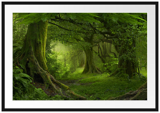 Dschungel im Regenwald Passepartout 100x70
