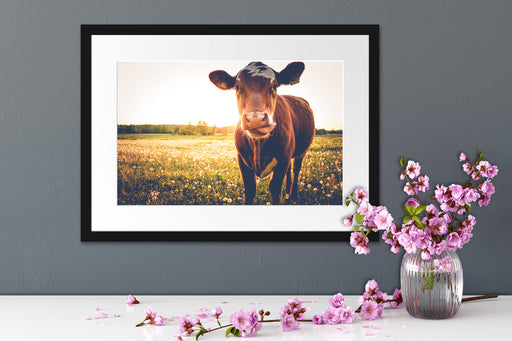 Kuh auf Blumenwiese Passepartout Wohnzimmer
