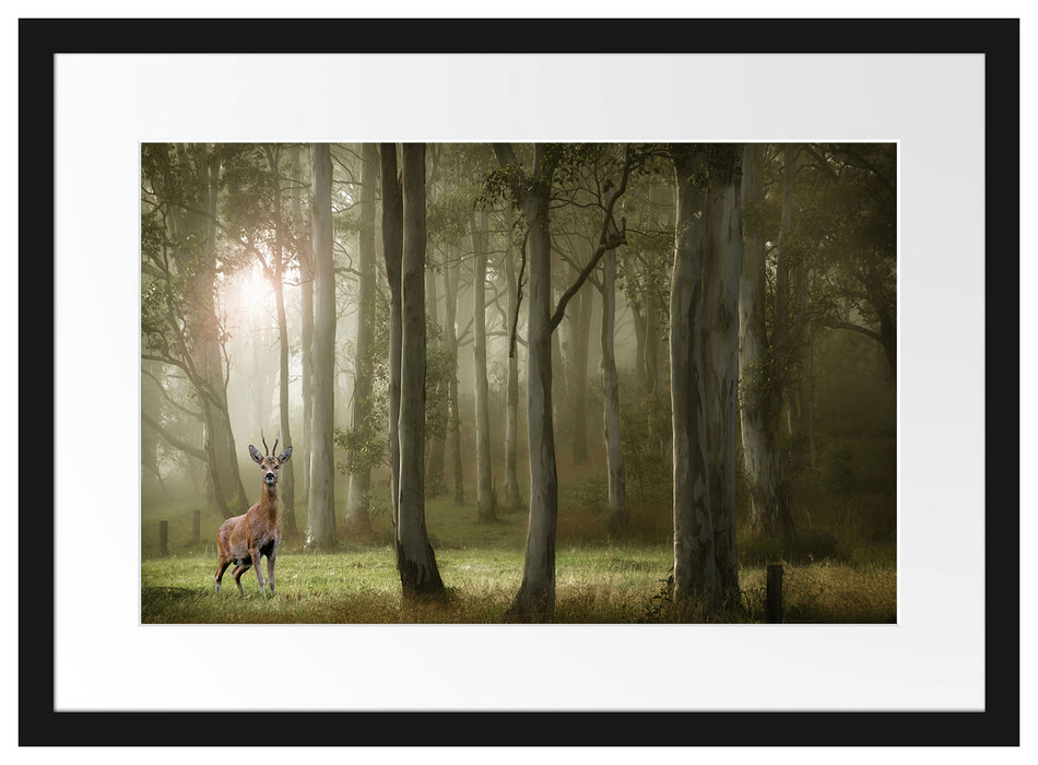 Hirsch im Wald Passepartout 55x40