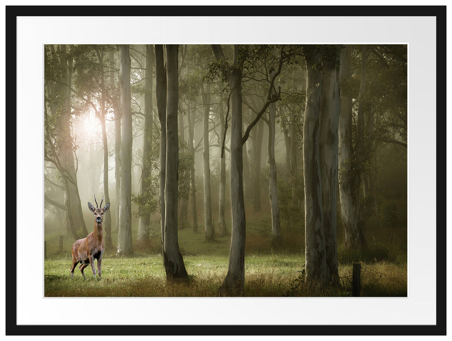 Hirsch im Wald Passepartout 80x60