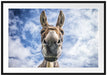 Lustiger Esel Passepartout 100x70