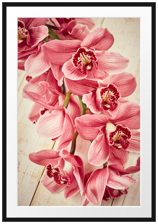 Rosane Orchideenblüten Passepartout 100x70