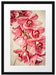 Rosane Orchideenblüten Passepartout 55x40