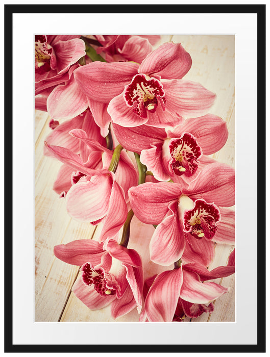 Rosane Orchideenblüten Passepartout 80x60