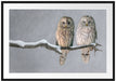 Zwei Eulen in Winterlandschaft Passepartout 100x70