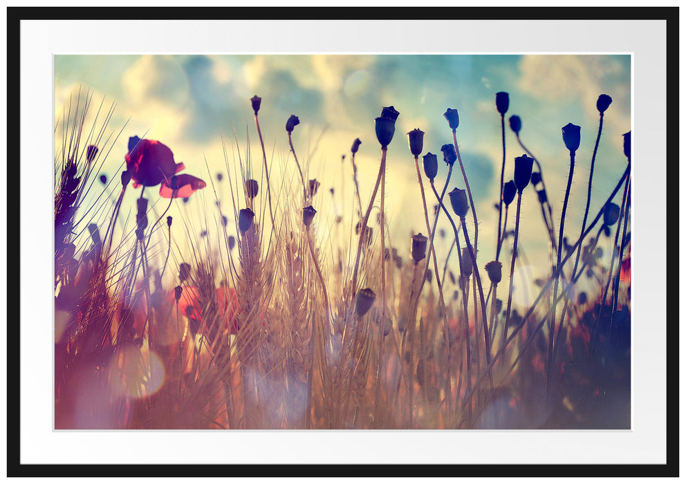 Pixxprint Mohn im Weizenfeld, im Galerie-Passepartout Bilderrahmen