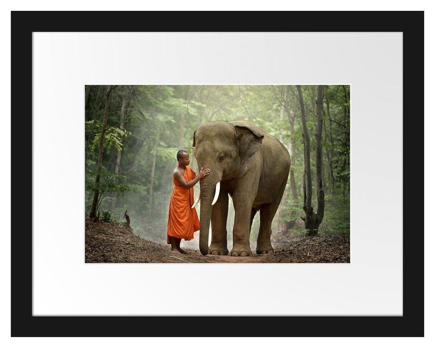 wunderschöner Elefant mit Mönch Passepartout 38x30