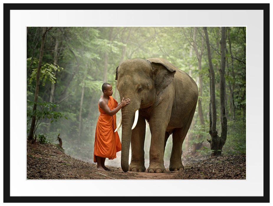 wunderschöner Elefant mit Mönch Passepartout 80x60