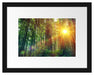 Wald bei Sonnenlicht Passepartout 38x30