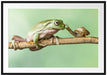 der Frosch und die Schnecke Passepartout 100x70