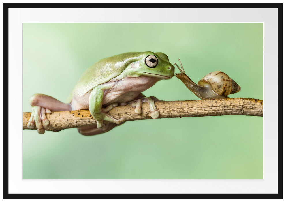 Pixxprint der Frosch und die Schnecke, im Galerie-Passepartout Bilderrahmen