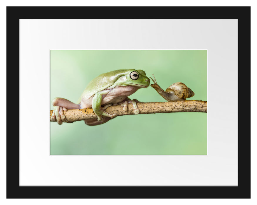 der Frosch und die Schnecke Passepartout 38x30