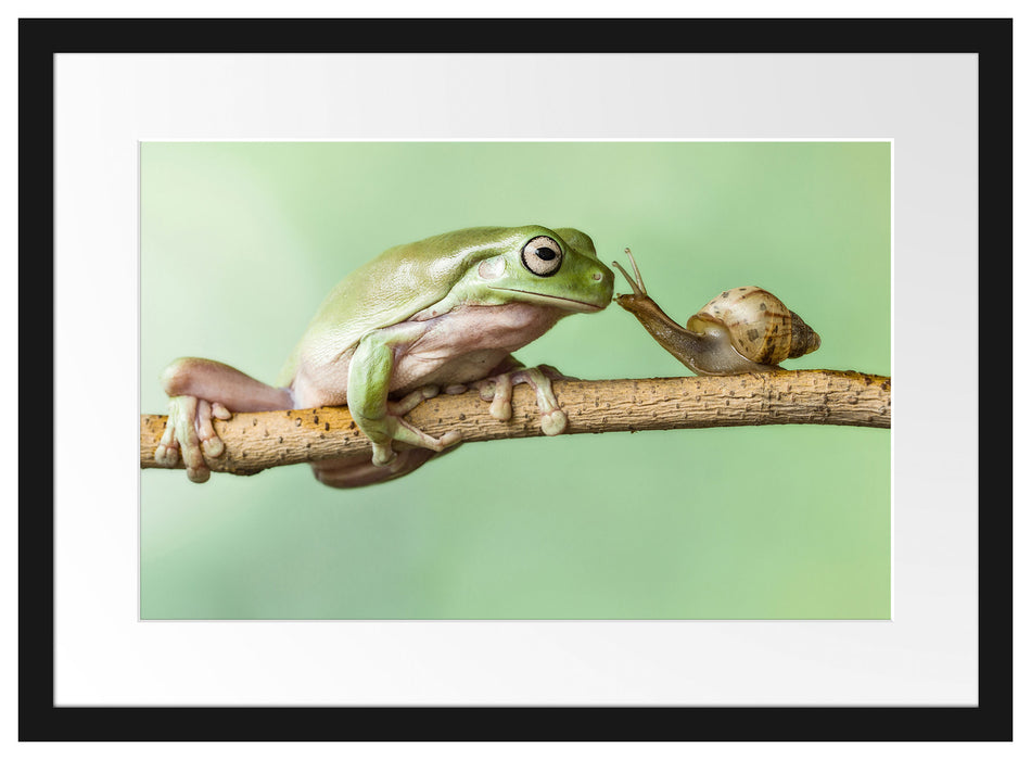 der Frosch und die Schnecke Passepartout 55x40