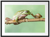 der Frosch und die Schnecke Passepartout 80x60