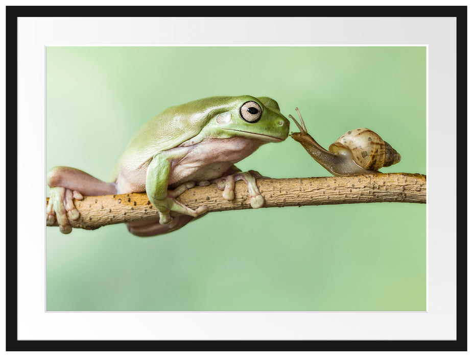 der Frosch und die Schnecke Passepartout 80x60