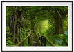 Weg durch den Tropenwald Passepartout 100x70
