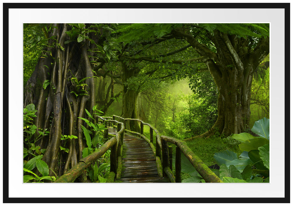 Pixxprint Weg durch den Tropenwald, im Galerie-Passepartout Bilderrahmen