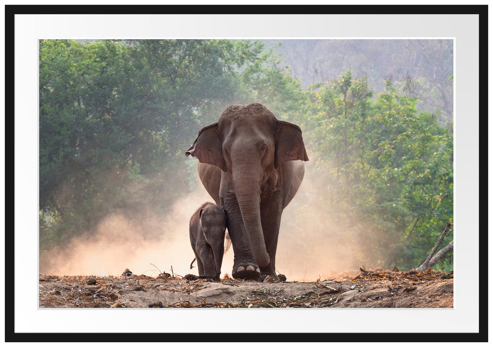 Pixxprint Elefantenbaby mit Mutter, im Galerie-Passepartout Bilderrahmen