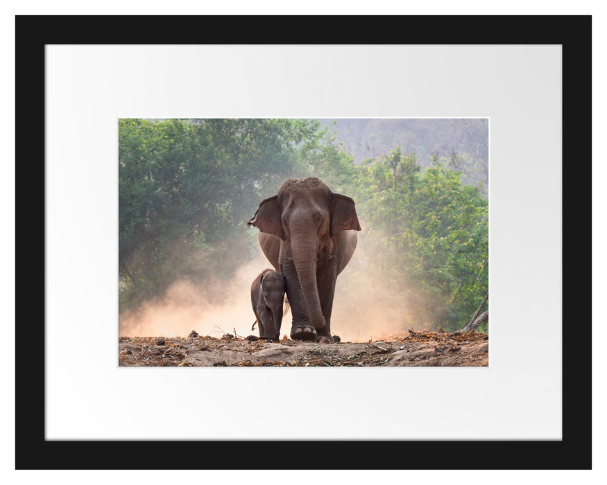 Elefantenbaby mit Mutter Passepartout 38x30