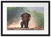 Elefantenbaby mit Mutter Passepartout 55x40