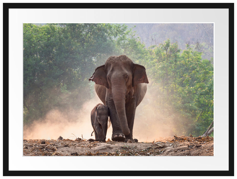 Elefantenbaby mit Mutter Passepartout 80x60