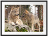 Wölfe im Wald Passepartout 80x60