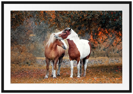 zwei schmusende Pferde Passepartout 100x70
