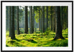 sonniger Tag im Wald Passepartout 100x70