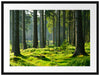 sonniger Tag im Wald Passepartout 80x60