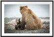 Bär mit Baby nach dem Baden Passepartout 100x70