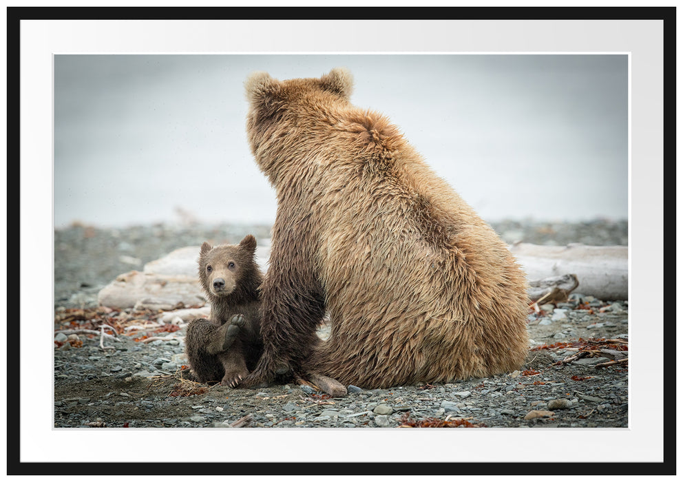 Pixxprint Bär mit Baby nach dem Baden, im Galerie-Passepartout Bilderrahmen