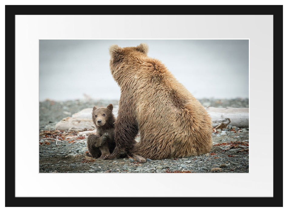 Bär mit Baby nach dem Baden Passepartout 55x40