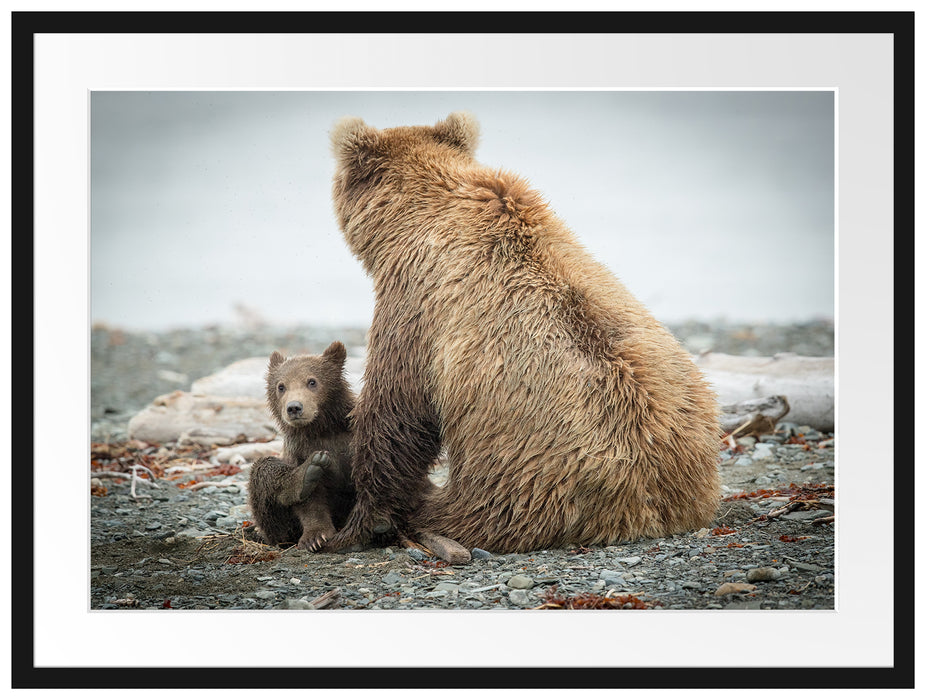 Bär mit Baby nach dem Baden Passepartout 80x60