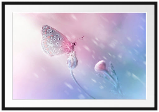 Schmetterling auf Blütenknospen Passepartout 100x70
