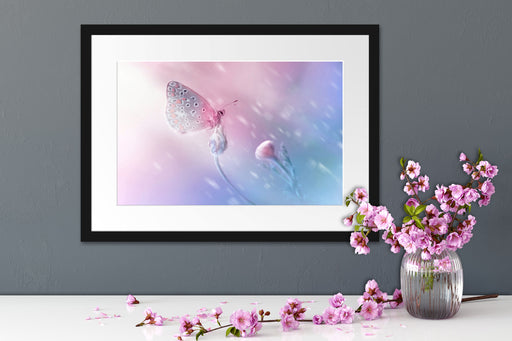 Schmetterling auf Blütenknospen Passepartout Wohnzimmer