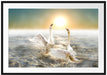 Schwäne im Meer Passepartout 100x70