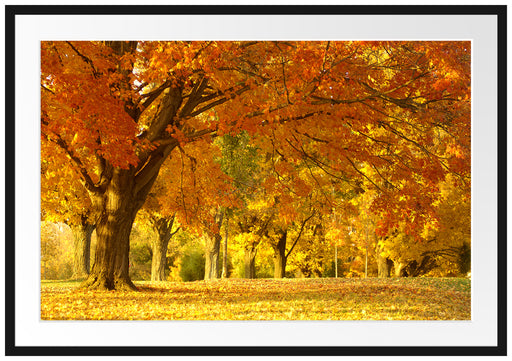 schöne Herbstlandschaft Passepartout 100x70