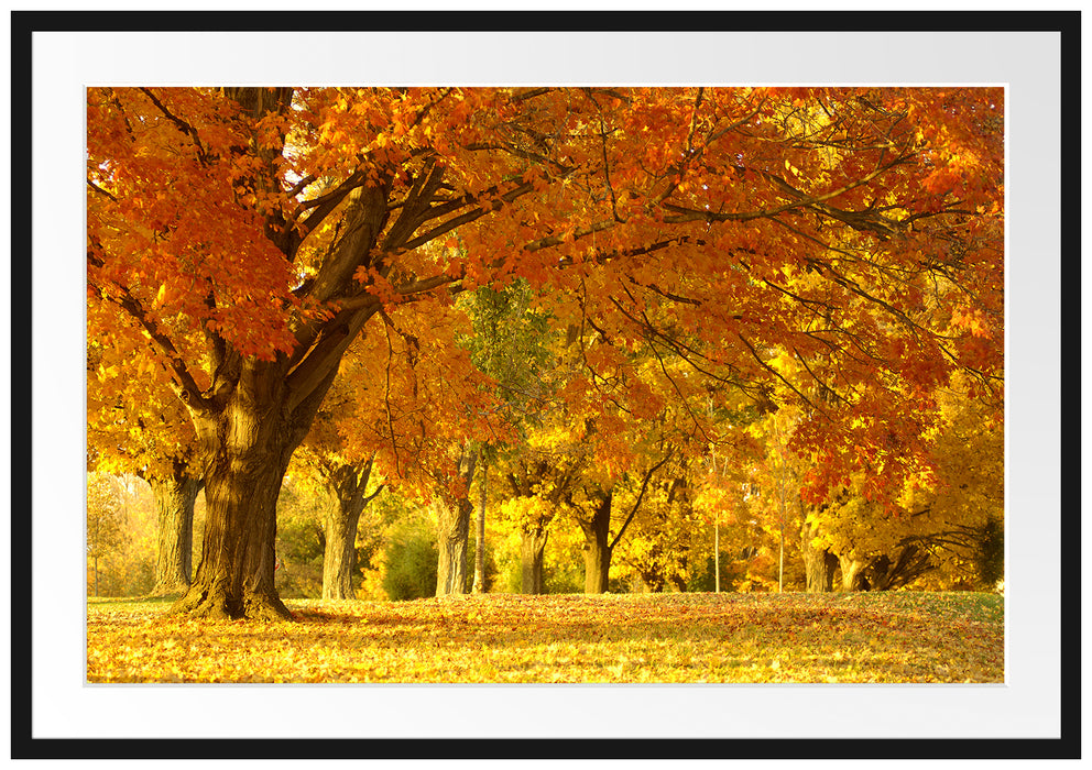 Pixxprint schöne Herbstlandschaft, im Galerie-Passepartout Bilderrahmen