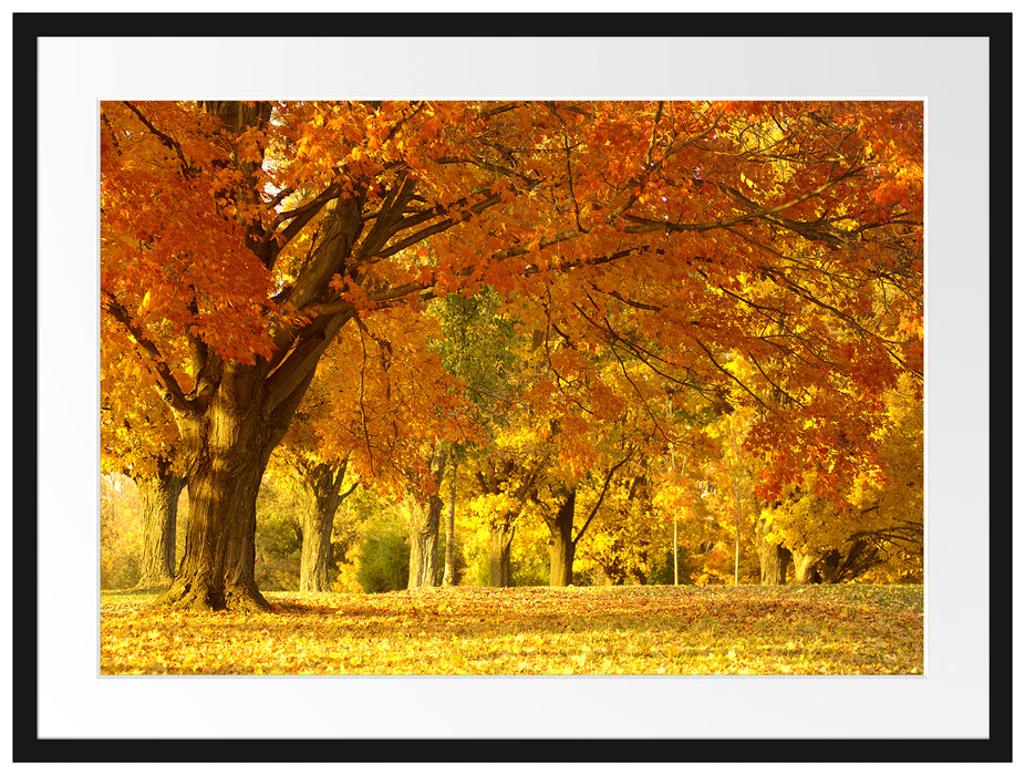 schöne Herbstlandschaft Passepartout 80x60