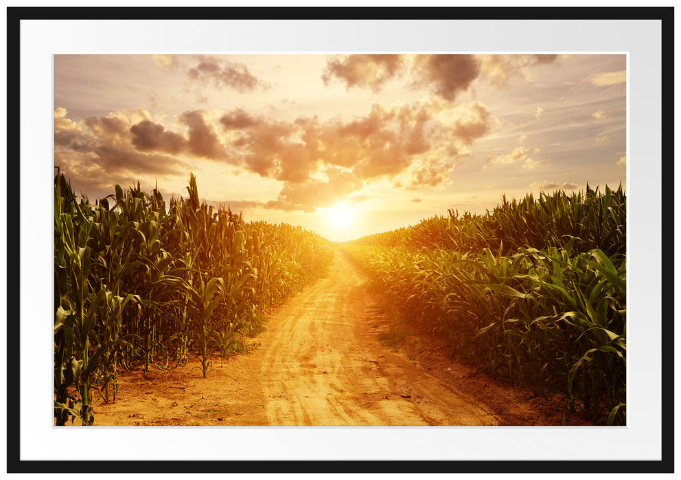 Pixxprint Pfad durch Feld, im Galerie-Passepartout Bilderrahmen