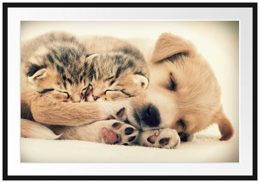 Hundewelpe mit kleinen Kätzchen Passepartout 100x70