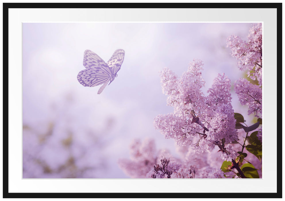 Pixxprint Schmetterling Kirschblüten, im Galerie-Passepartout Bilderrahmen