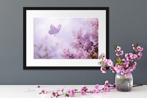Schmetterling Kirschblüten Passepartout Wohnzimmer