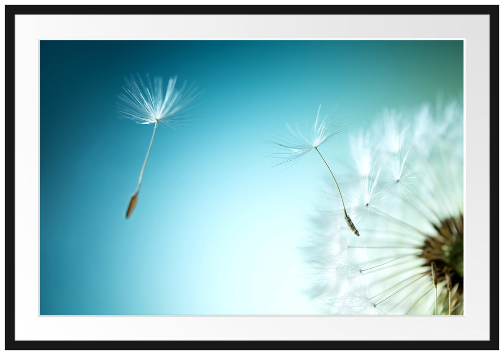 Pixxprint Löwenzahn Pusteblume, im Galerie-Passepartout Bilderrahmen