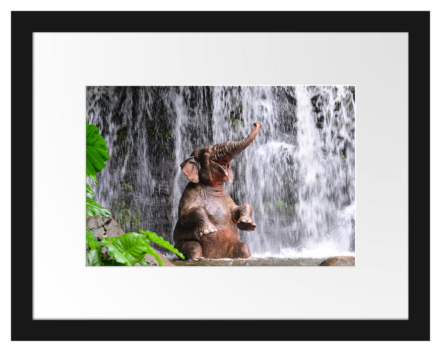 Babyelefant am Wasserfall Passepartout 38x30