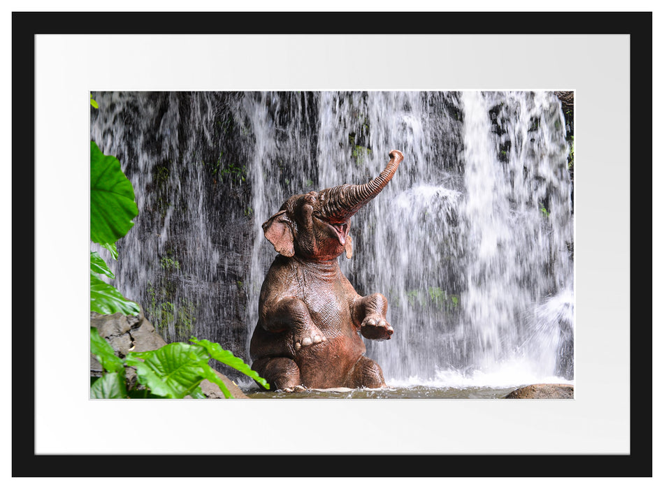 Babyelefant am Wasserfall Passepartout 55x40