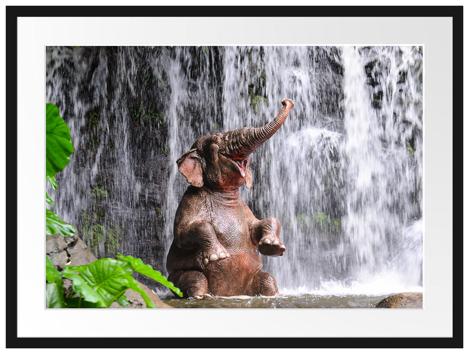 Babyelefant am Wasserfall Passepartout 80x60